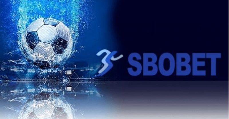 Tìm hiểu tổng quan về đánh cá cược thể thao Sbobet là gì?