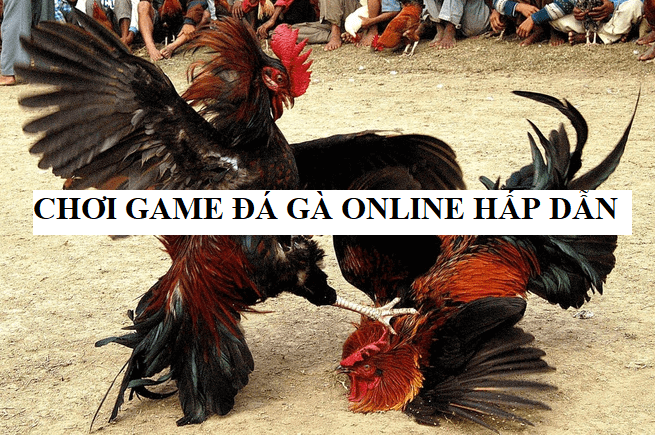 Giới thiệu sơ lược về game đá gà online